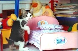 Ouais, c'est ma chambre, ça pose un problème ! Ouais, c'est ma chambre, ça pose un problème !