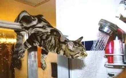 J'suis un vrai acrobate moi, quand j'ai soif, j'me débrouille ! J'suis un vrai acrobate moi, quand j'ai soif, j'me débrouille !