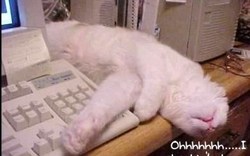 Ras le bol de faire les comptes... Ras le bol de faire les comptes...