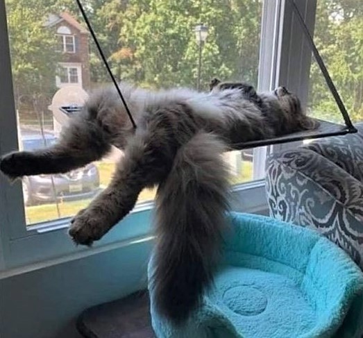 Je crois que je vais rester là toute la semaine ! Je crois que je vais rester là toute la semaine !