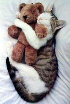 Je dors jamais sans mon doudou ! Je dors jamais sans mon doudou !