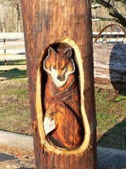 Art insolite : sculptures sur tronc d'arbres.. Art insolite : sculptures sur tronc d'arbres..