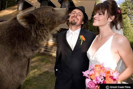 Love story entre un ours et un homme !