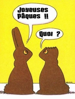 Dessins humoristiques de nos amis les bêtes ! Dessins humoristiques de nos amis les bêtes !