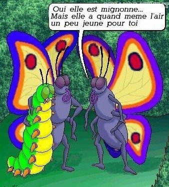 Dessins humoristiques de nos amis les bêtes ! Dessins humoristiques de nos amis les bêtes !