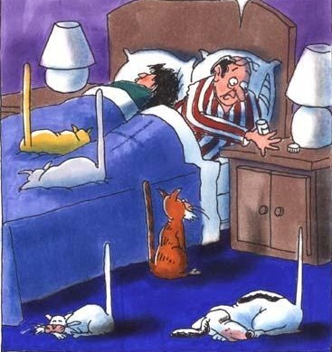 Y a deux jours encore, ma boîte de viagra était pleine...euh ?? Y a deux jours encore, ma boîte de viagra était pleine...euh ??