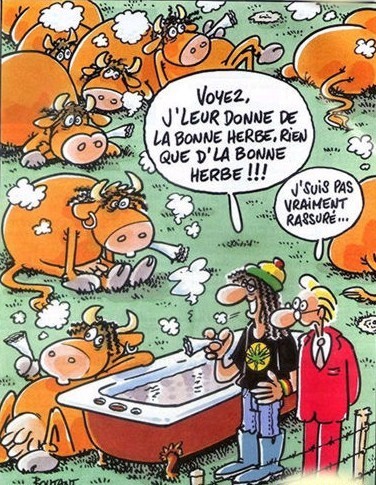 Avoir Images Dessins Humoristiques De Nos Amis Les Betes le plus cool salutations