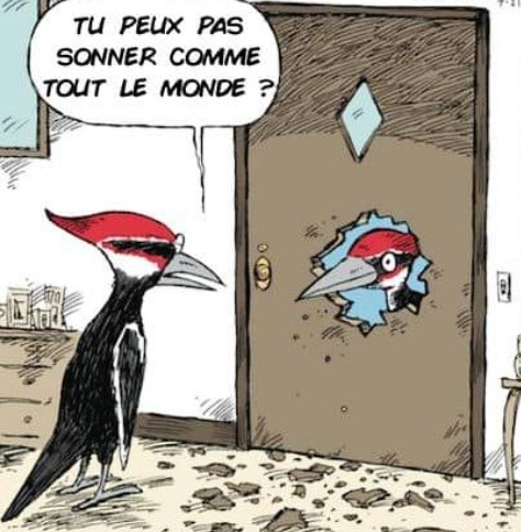 Toc...Toc...y a quelqu'un ?