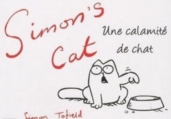 Humour : vidéo du chat qui réveille son maître ! Humour : vidéo du chat qui réveille son maître !