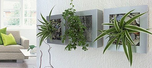 Idée déco : le tableau végétal ! Idée déco : le tableau végétal !