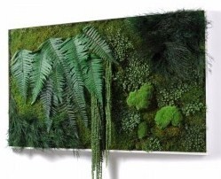 Idée déco : le tableau végétal ! Idée déco : le tableau végétal !