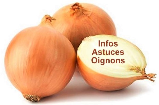 Eplucher un oignon sans pleurer, infos et astuces Eplucher un oignon sans pleurer, infos et astuces
