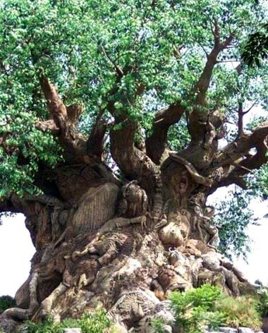 tronc d'arbre sculpté