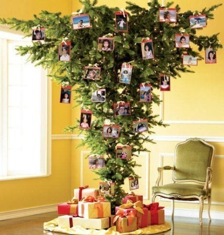 le sapin tête à l'envers.. le sapin tête à l'envers..