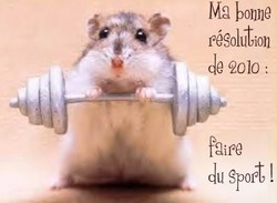 Top 2 des bonnes résolutions qu'on ne tiendra pas ! Top 2 des bonnes résolutions qu'on ne tiendra pas !