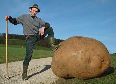 Top 10 des 10 plus grosses, mais très grosses..! Top 10 des 10 plus grosses, mais très grosses..!