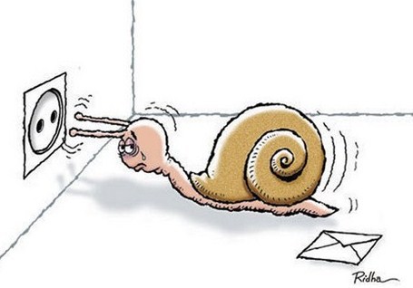 Escargot désespéré, le courant ne passait plus avec sa copine.. Escargot désespéré, le courant ne passait plus avec sa copine..