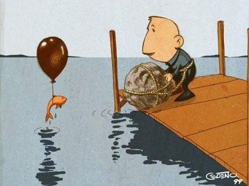 Petit poisson en manque d'oxygène..besoin d'un bol d'air ! Petit poisson en manque d'oxygène..besoin d'un bol d'air !