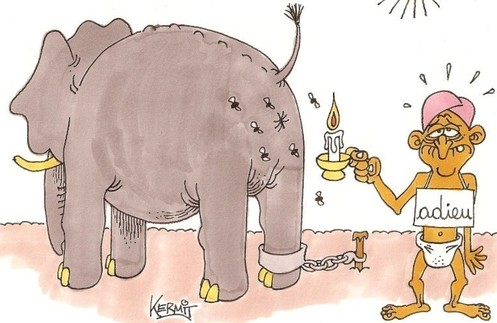 Vent de panique en pleine canicule... Vent de panique en pleine canicule...