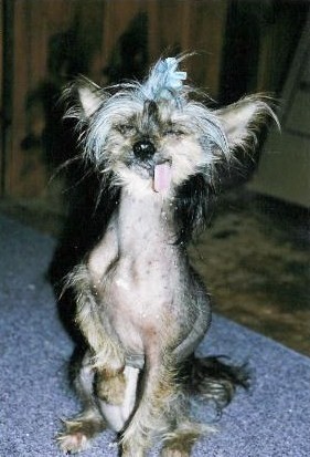 Va falloir arrêter l'épilation et changer de coiffeur ! Va falloir arrêter l'épilation et changer de coiffeur !