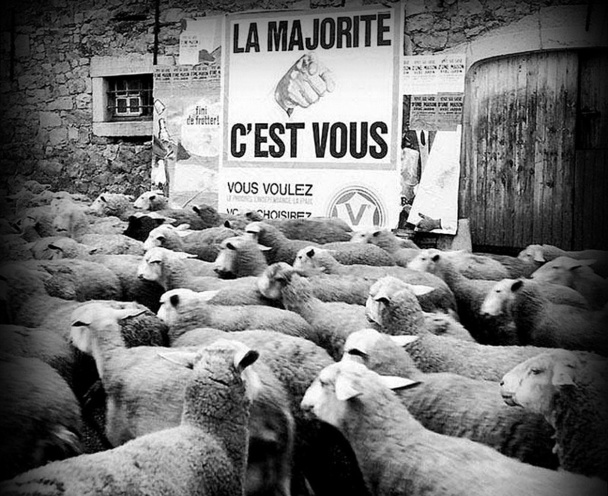 Nous sommes tous des moutons.. Nous sommes tous des moutons..