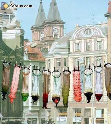 Art contemporain, si on exposait nos capotes ! Art contemporain, si on exposait nos capotes !