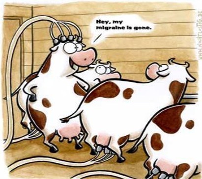 Dessins Humoristiques Vachement Droles
