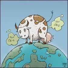 Une vache ça ne produit pas que du lait.. Une vache ça ne produit pas que du lait..