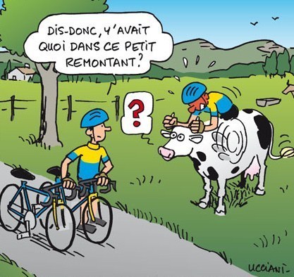 Dessins Humoristiques Vachement Droles