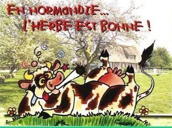 Dessins humoristiques vachement drôles ! Dessins humoristiques vachement drôles !