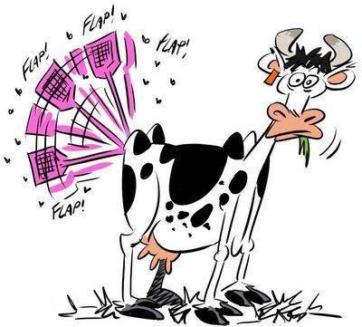 Dernier concours Lépine, la vache tapette à mouches !