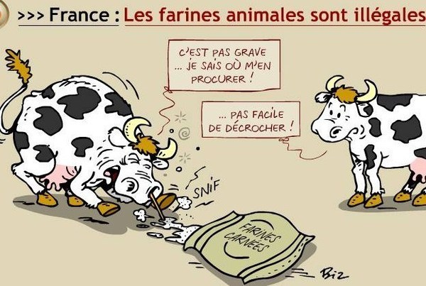 Dessins humoristiques vachement drôles ! Dessins humoristiques vachement drôles !