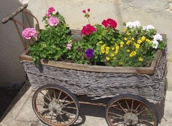 De jolies jardinières pour décorer vos jardins