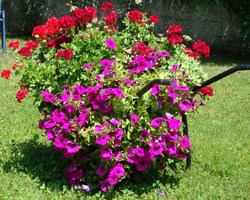 De jolies jardinières pour décorer vos jardins De jolies jardinières pour décorer vos jardins