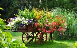 De jolies jardinières pour décorer vos jardins