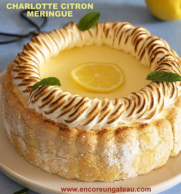 3 Recettes de Charlotte : citron, chocolat, pommes