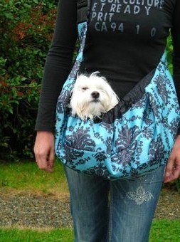 Insolite : les chiens portables ! Insolite : les chiens portables !