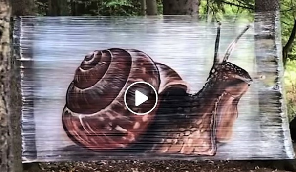 Peintures animalières géantes sur films plastique
