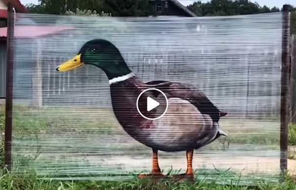 Peintures animalières géantes sur films plastique