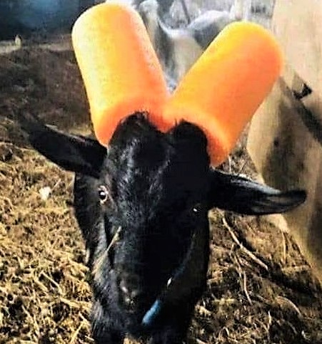 Astuces pour nouilles de piscine ou boudins en mousse Astuces pour nouilles de piscine ou boudins en mousse