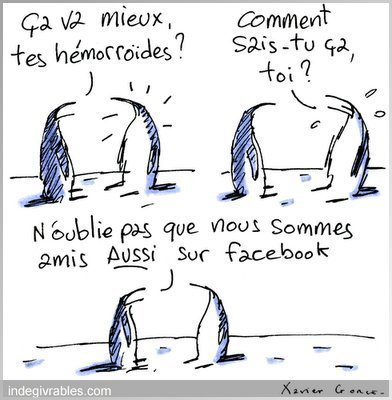 Humour, Facebook et la vraie vie