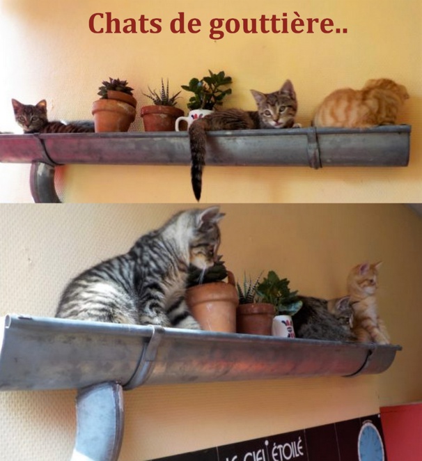 Recyclez vos gouttières en zinc Recyclez vos gouttières en zinc