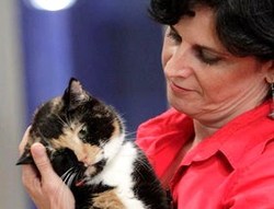 L'incroyable aventure de Willow le chat ! L'incroyable aventure de Willow le chat !