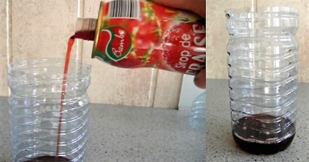 Comment fabriquer un piège à frelons efficace ! Comment fabriquer un piège à frelons efficace !