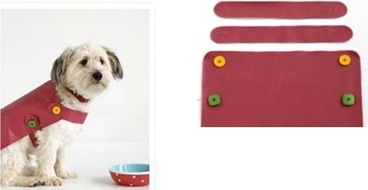 Confectionner un manteau pour un petit chien ! Confectionner un manteau pour un petit chien !