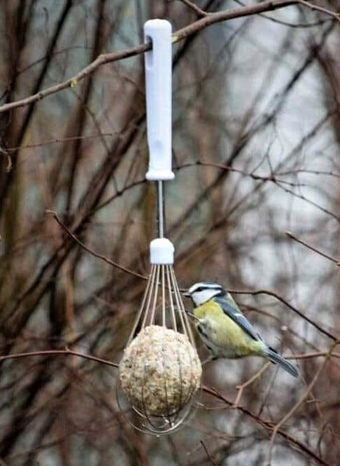 Faire une mangeoire et un nichoir pour oiseaux !