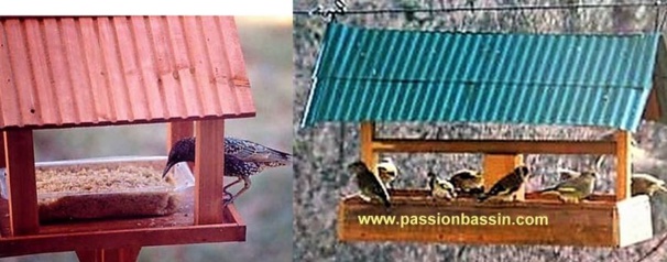 Faire une mangeoire et un nichoir pour oiseaux ! Faire une mangeoire et un nichoir pour oiseaux !