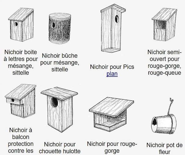 Faire une mangeoire et un nichoir pour oiseaux !