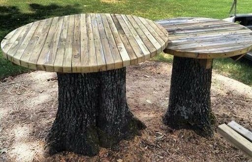 Idées recyclages et décorations souches d'arbres