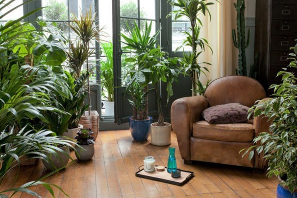 Idées pour décorer son salon